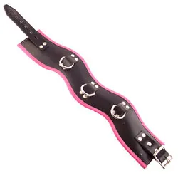 Rouge Garments Padded Posture Collars and Leads, Bdsm Black And Pink Leather Collars And Leads Leashes