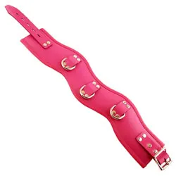 Rouge Garments Padded Posture Collars and Leads, Bdsm Pink Leather Collars And Leads Leashes