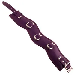 Rouge Garments Padded Posture Collars and Leads, Bdsm Purple Leather Collars And Leads Leashes