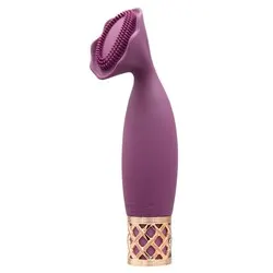 Pillow Talk Secrets Mini Suction Vibrator for Beginners, Passion Waterproof  Silicone Purple Suction Vibrator