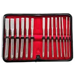 Rouge Garments Hegar 14 Piece Urethral Dilators & Speculums, Premium Silver Metal Urethral Dilators & Speculums Kit