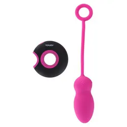 TOYJOY CARESSE EMBRACE 1 REMOTE CONTROL Pink Couples Mini VIBRATING LOVE EGGS Bondage Sex Toys, Waterproof Silicone VIBRATING LOVE EGGS Sex Toys for Beginners